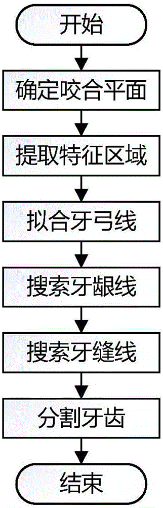 Triangular grid tooth segmentation method based on path planning