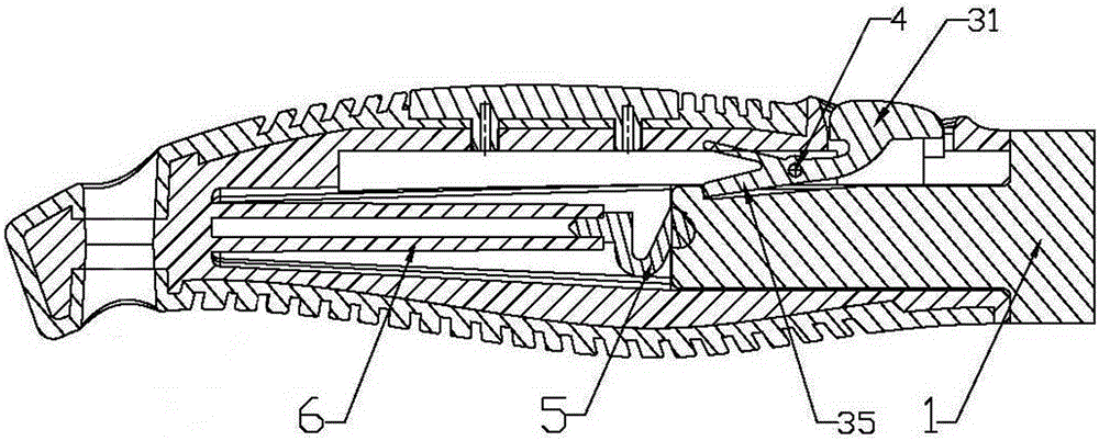 A brush structure for easy replacement of brush heads