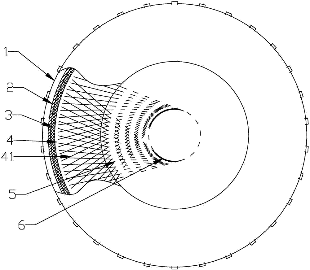 Novel radial tire