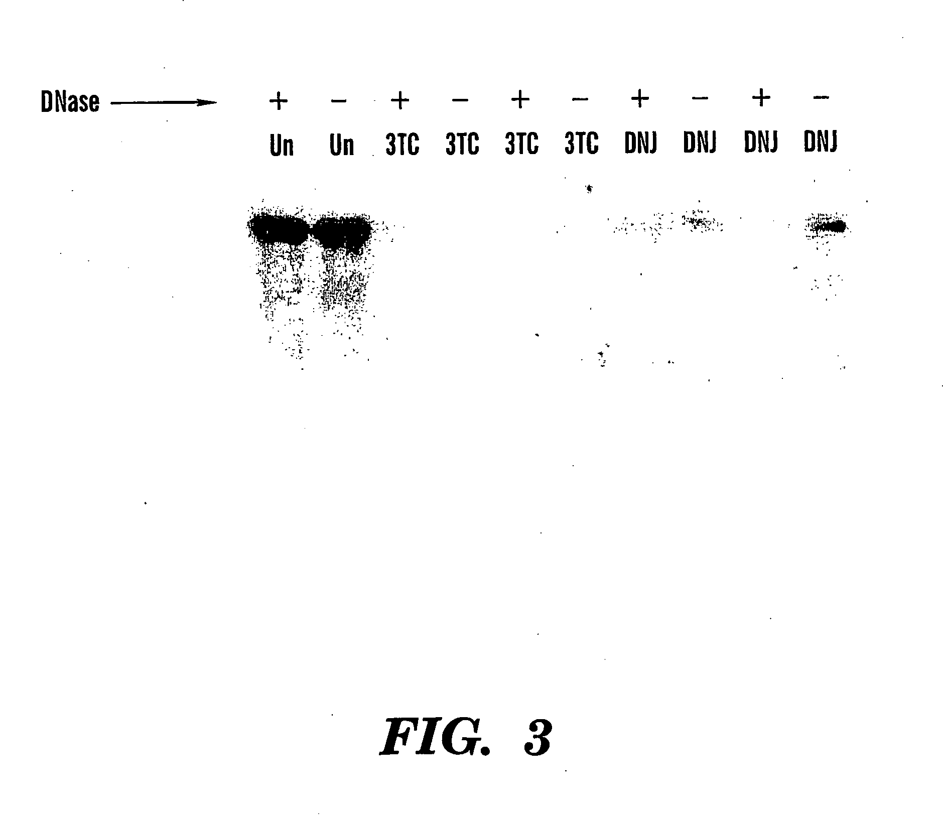 Method of treating viral infections