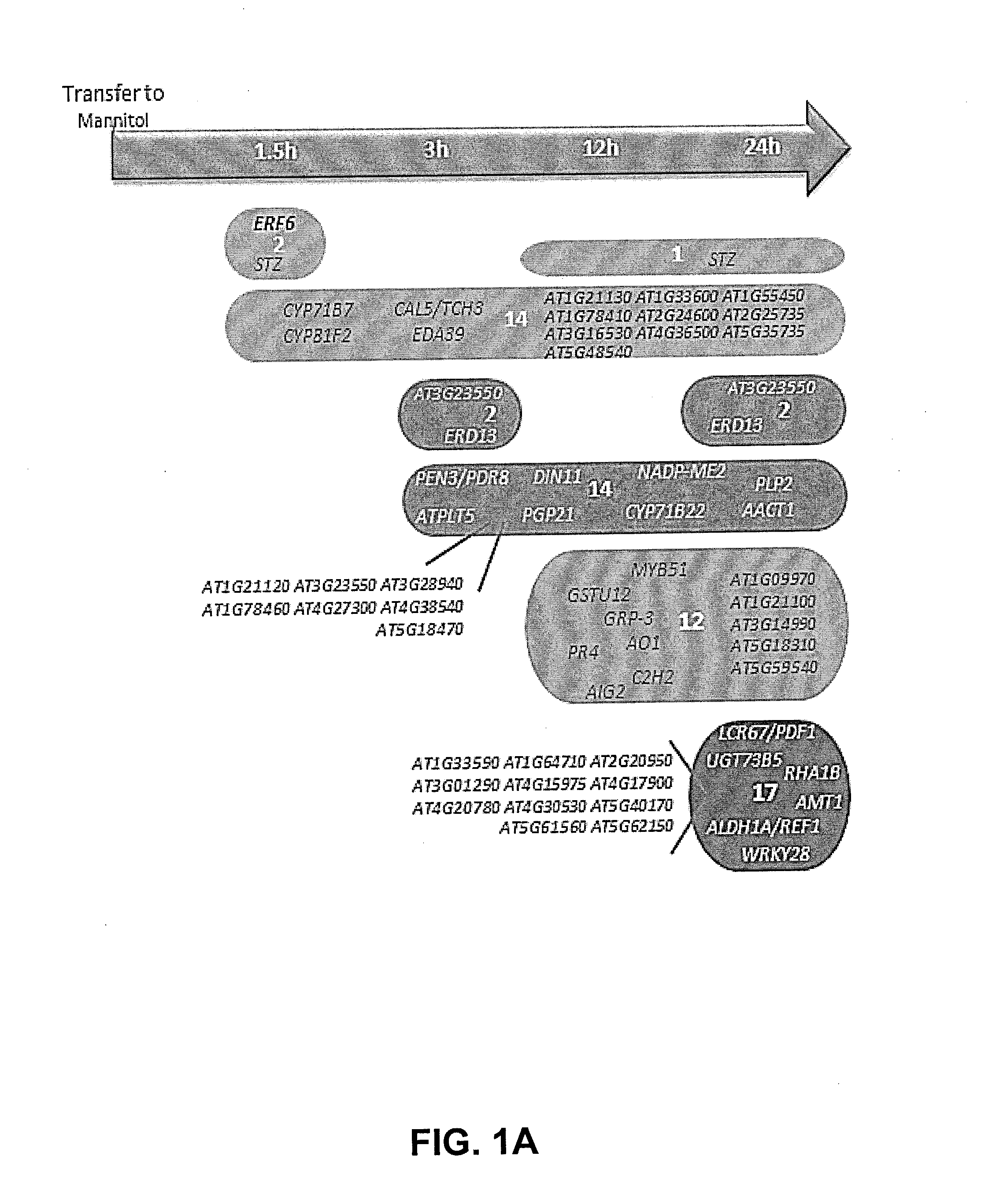 Methods and means to produce abiotic stress tolerant plants