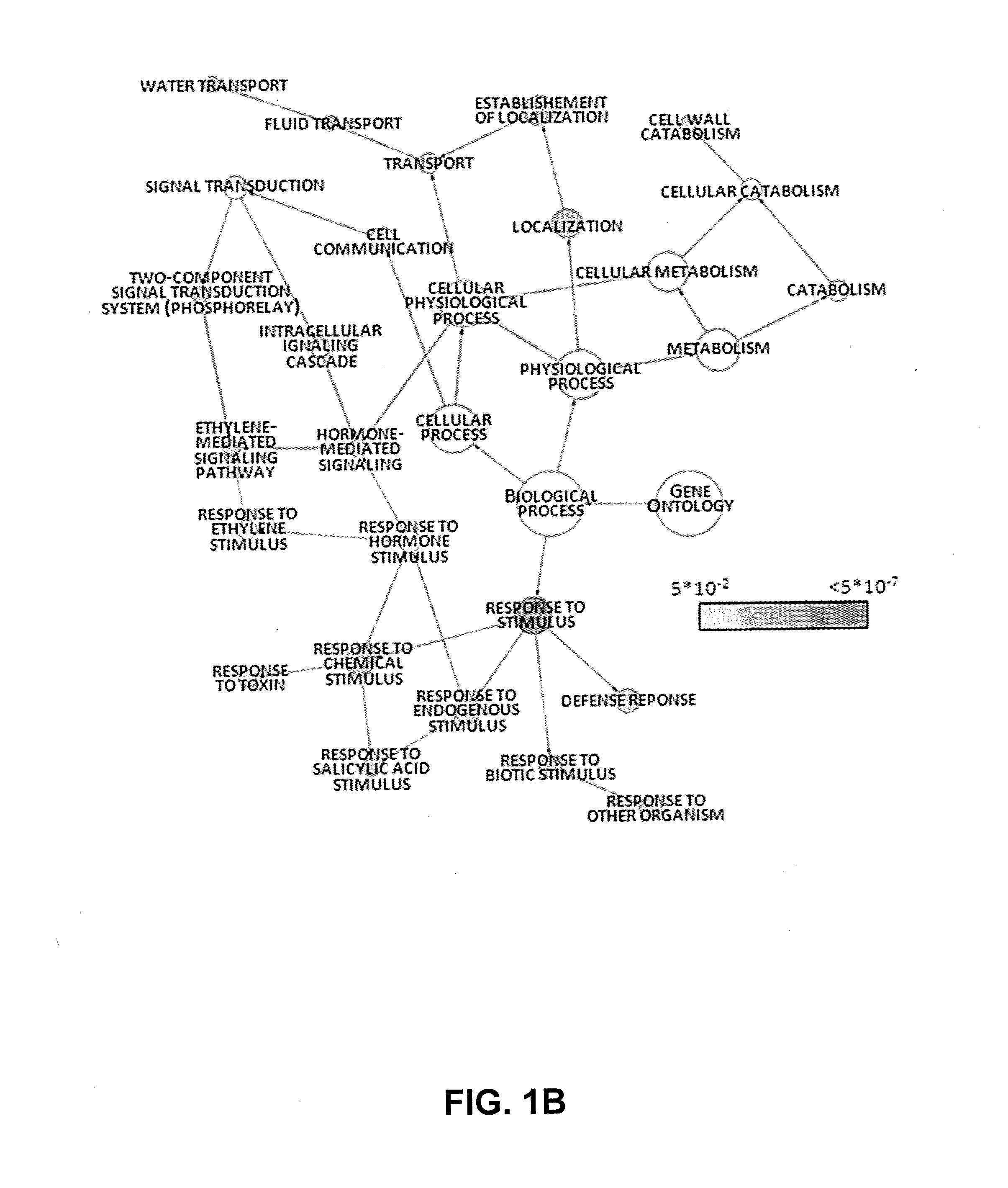 Methods and means to produce abiotic stress tolerant plants