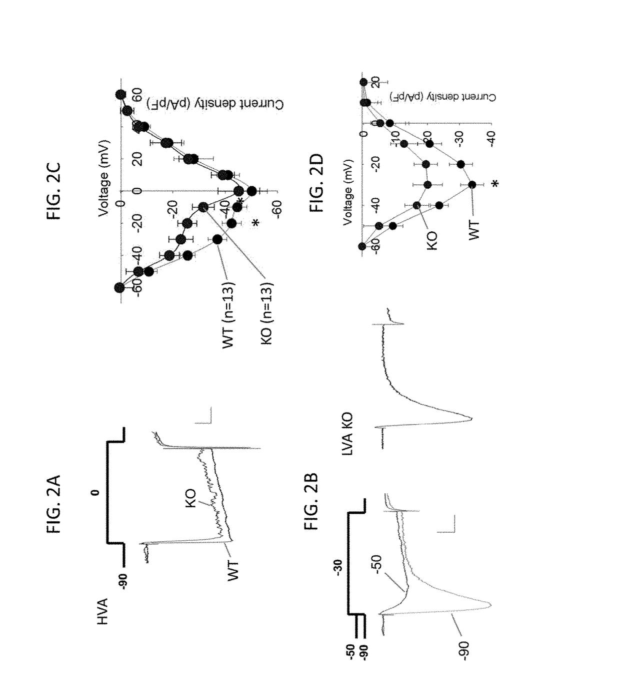 Methods for modulating KLHL1 levels, methods for modulating current activity in T-type calcium channels, molecules therefor, and methods for identifying molecules therefor