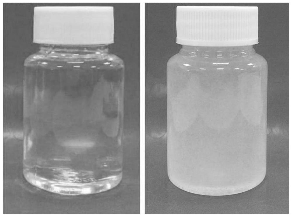 Lip care composition containing phytosterol additive and preparation method thereof