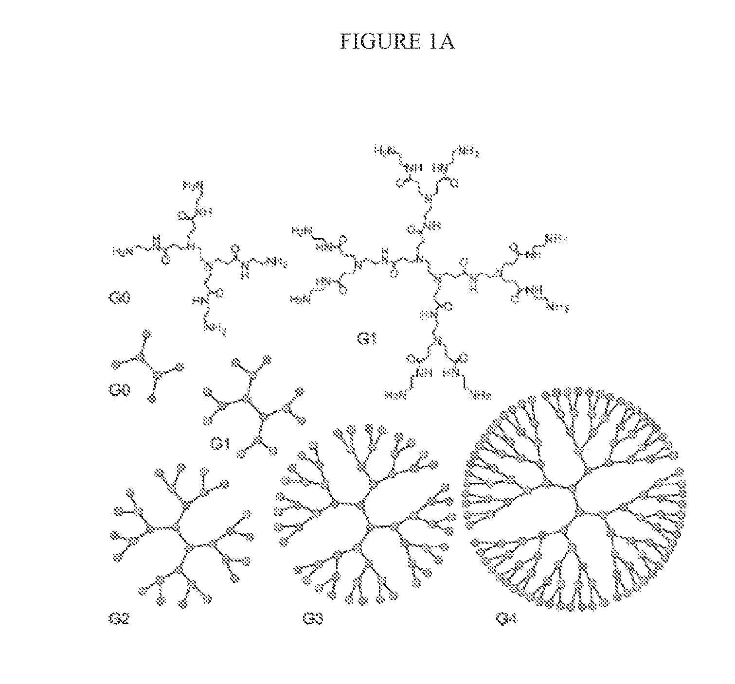 N-boc-dendrimers and their conjugates