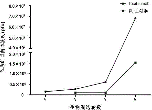 Mimic epitope peptide resistant to IL-6 receptor Tocilizumab and application of mimic epitope peptide