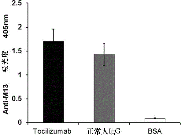 Mimic epitope peptide resistant to IL-6 receptor Tocilizumab and application of mimic epitope peptide