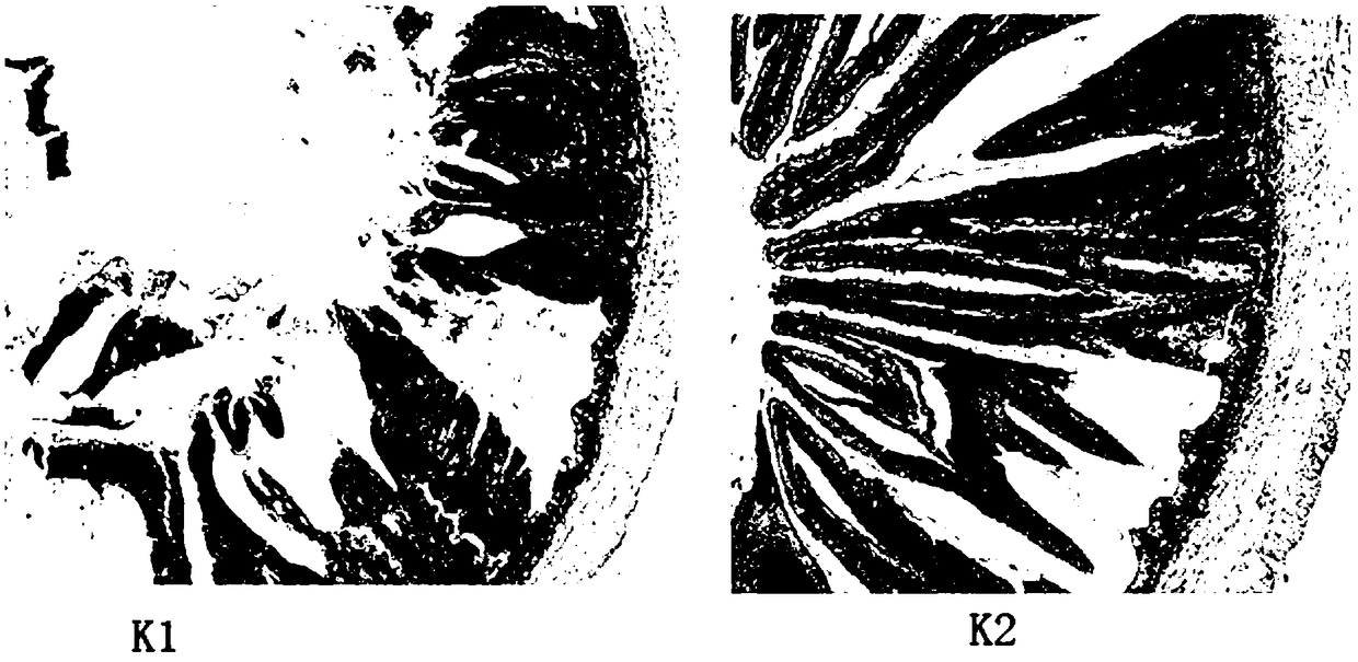 Biological active environment-friendly aquatic feed preparation method