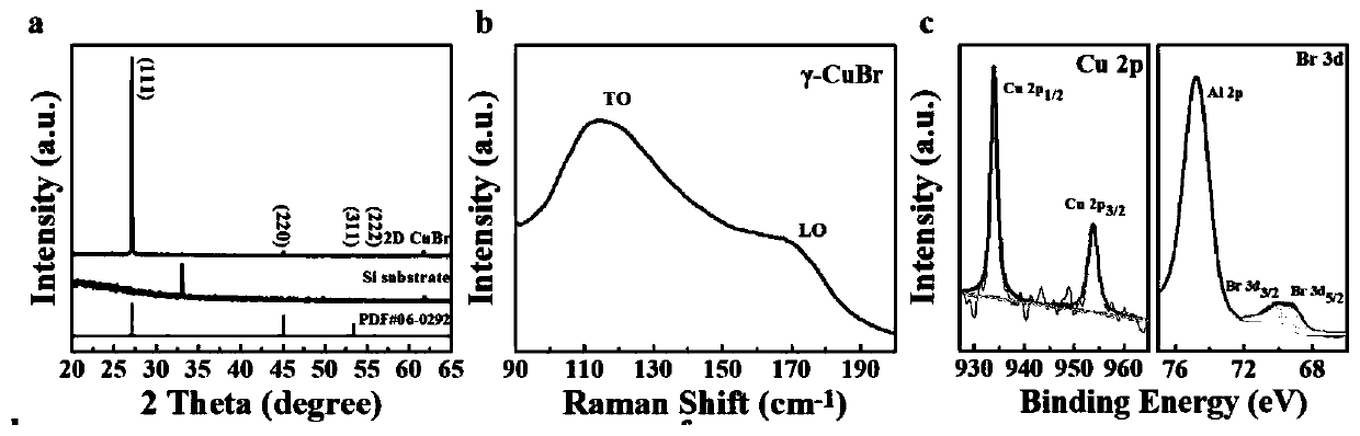 Preparation method and application of two-dimensional ultra-thin CuBr nano sheet