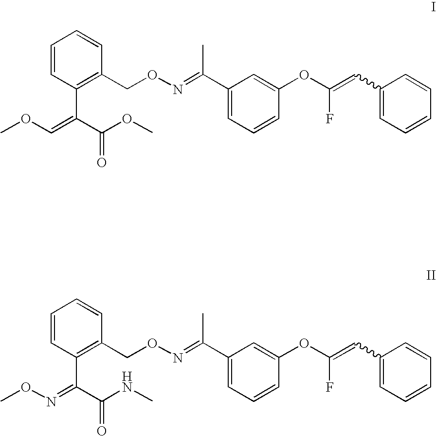 Adjuvant formulation for enhancing the fungicidal efficacy and fungicidal composition containing same