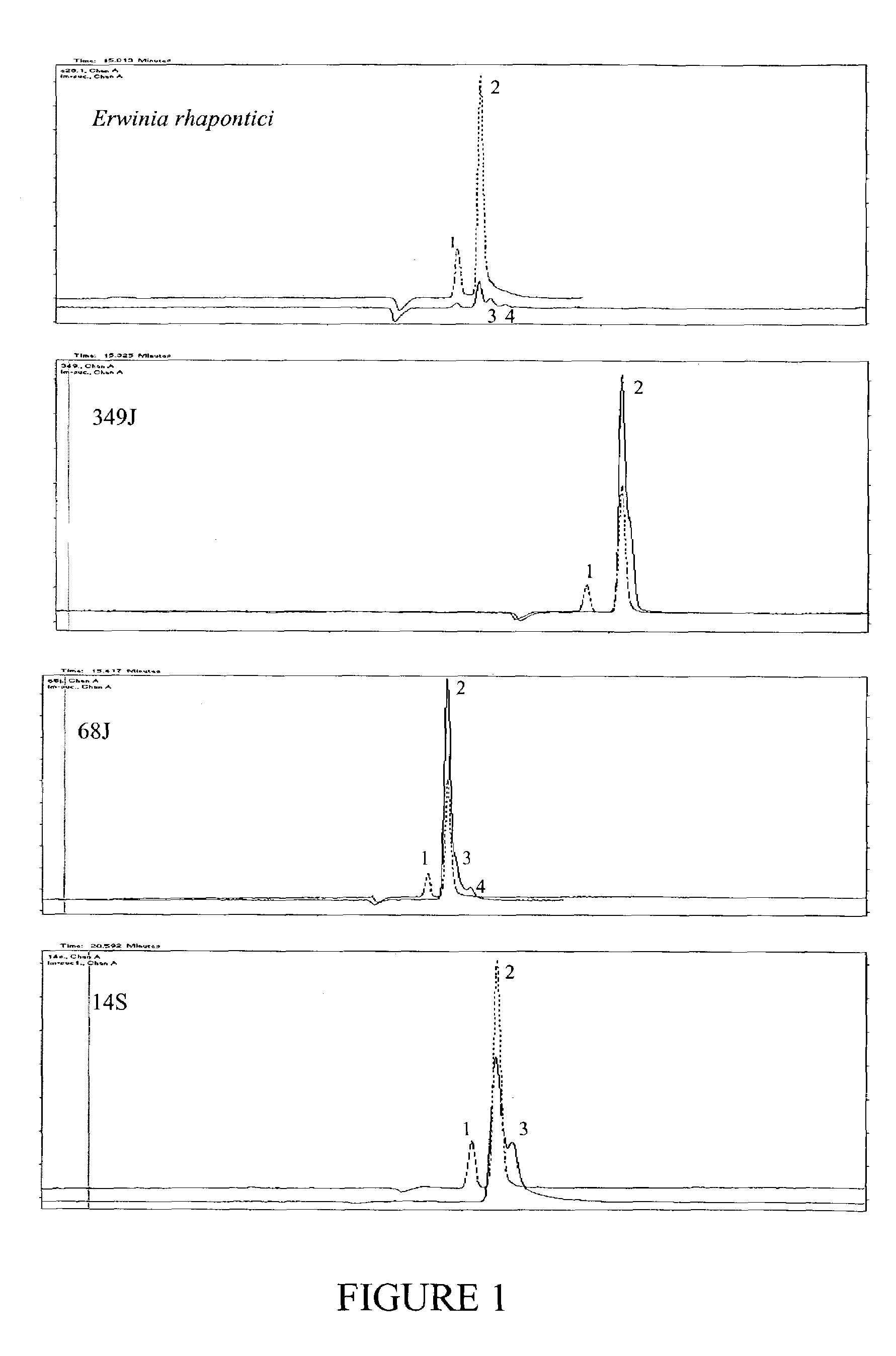 Isomaltulose synthases, polynucleotides encoding them and uses therefor