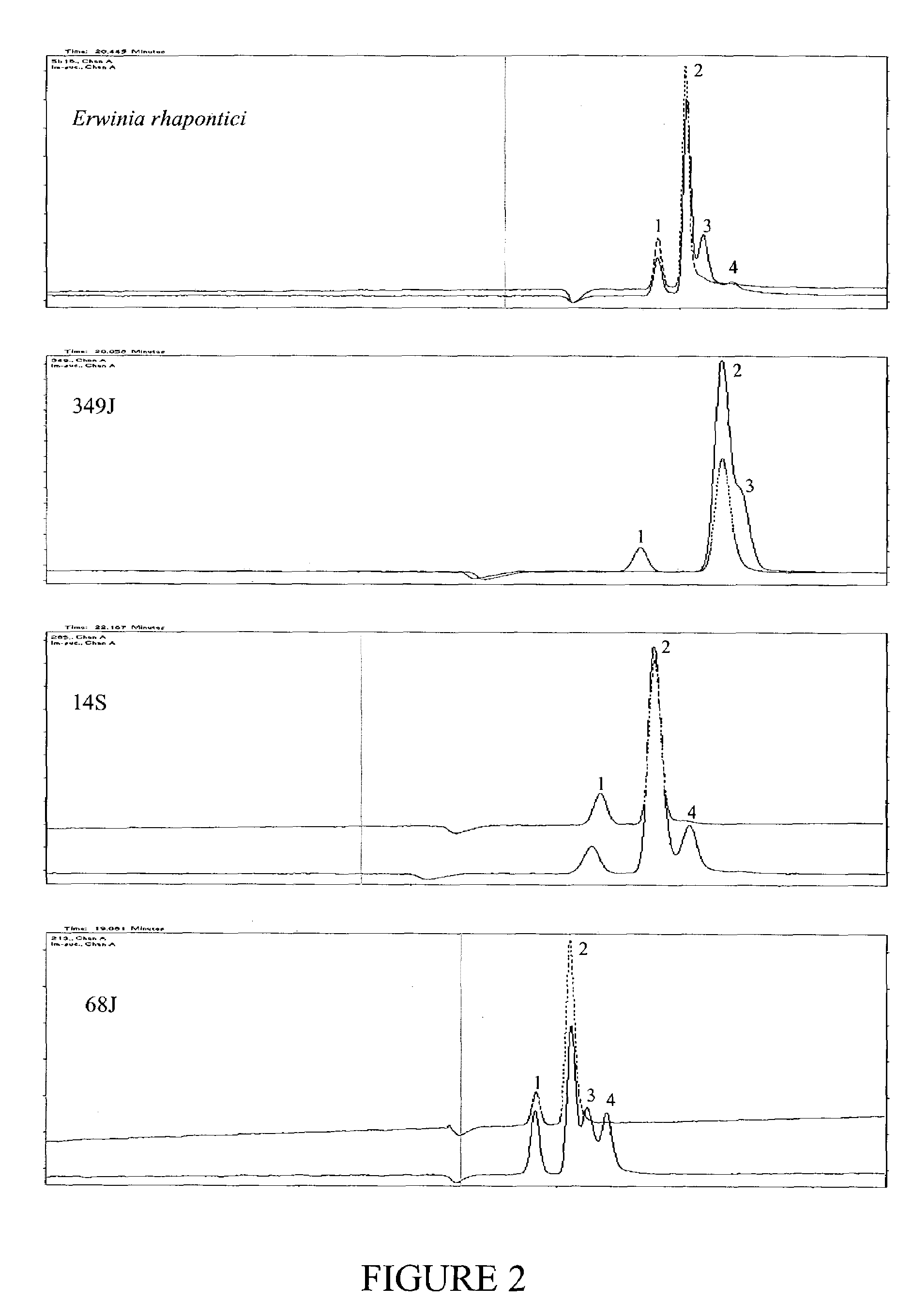 Isomaltulose synthases, polynucleotides encoding them and uses therefor