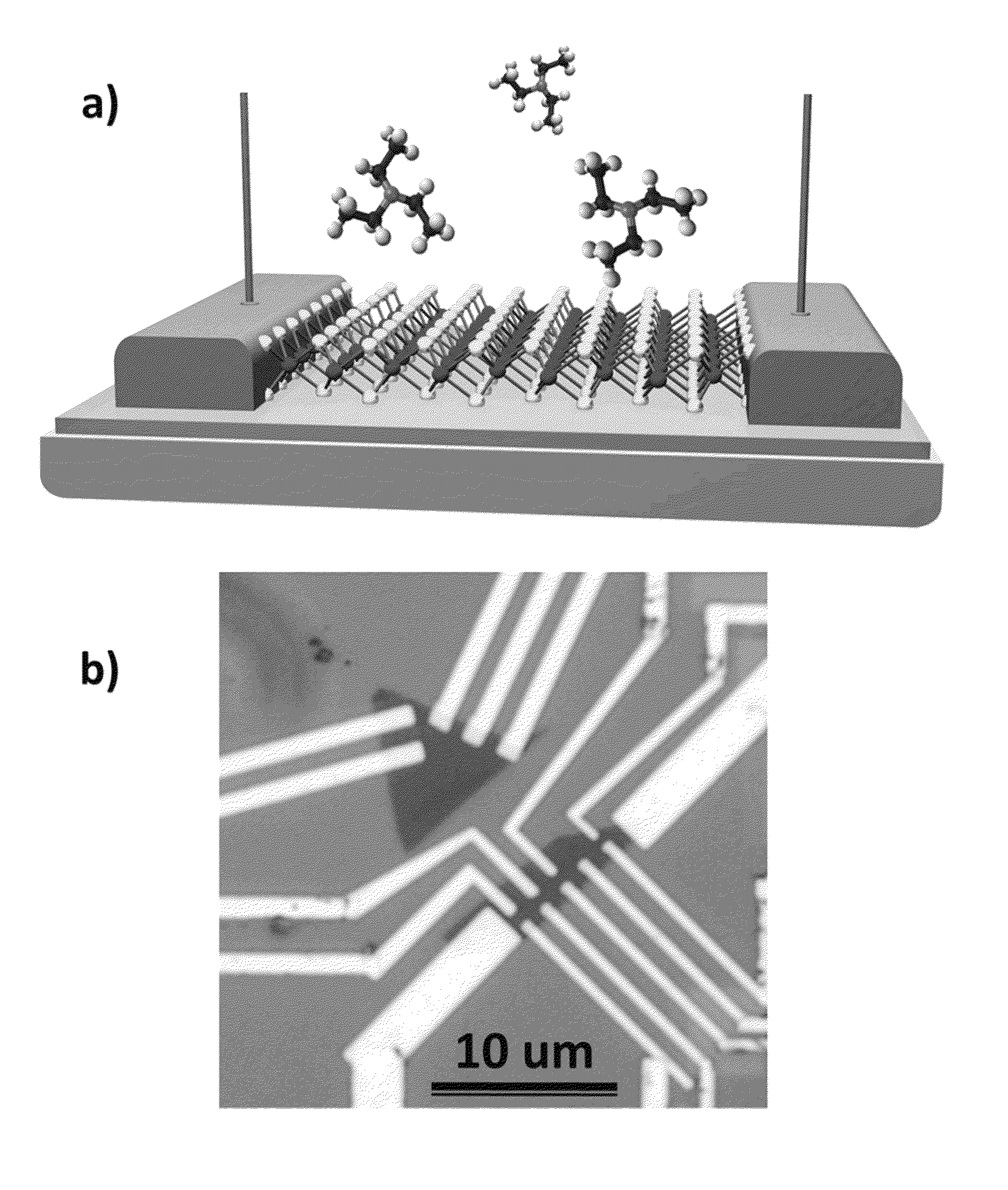 Low-dimensional material chemical vapor sensors