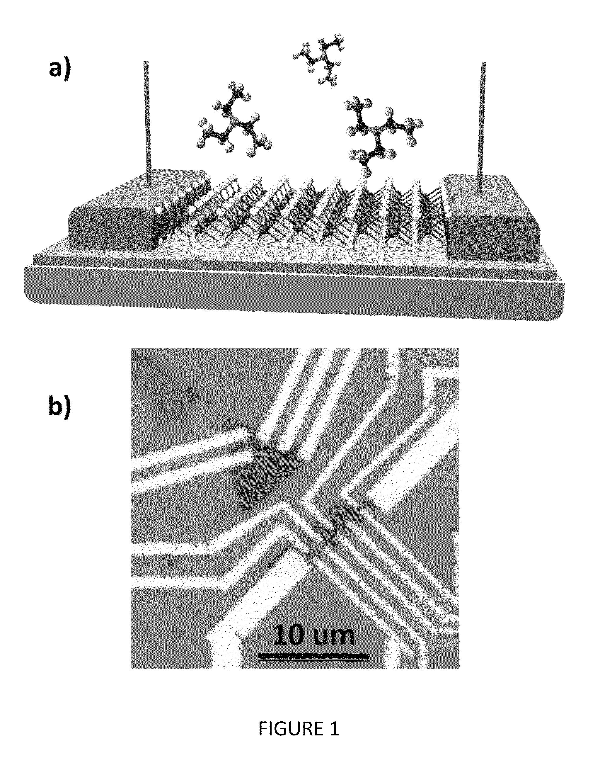 Low-dimensional material chemical vapor sensors