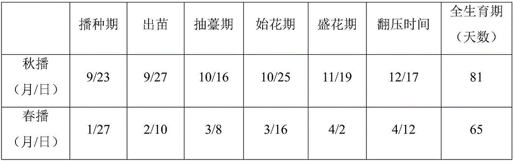 Planting method for cabbage type oilseed rape oil fertilizer I