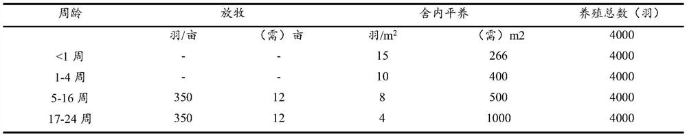 Ecological stocking breeding method for poultry