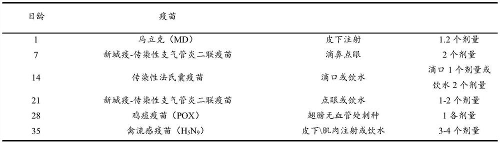 Ecological stocking breeding method for poultry