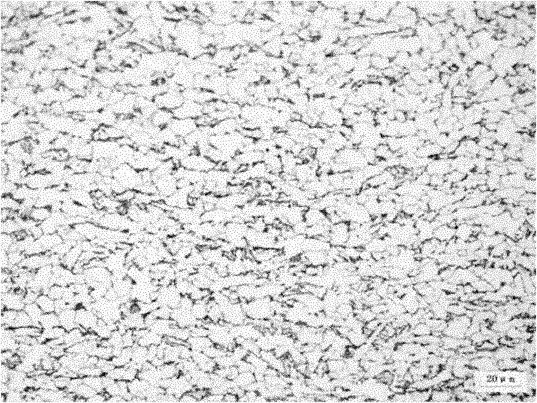 Method for producing hot rolled steel coils for ship building