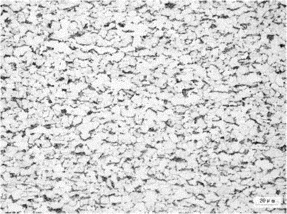 Method for producing hot rolled steel coils for ship building