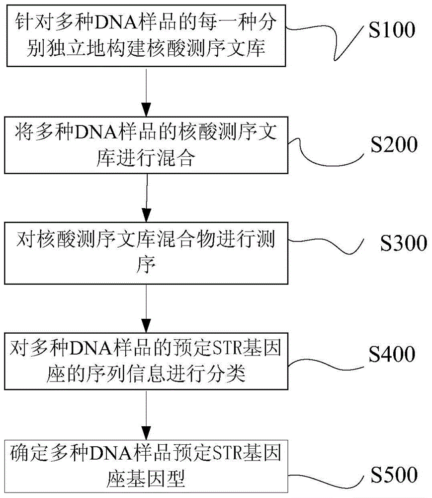 DNA tags, PCR primer and application thereof