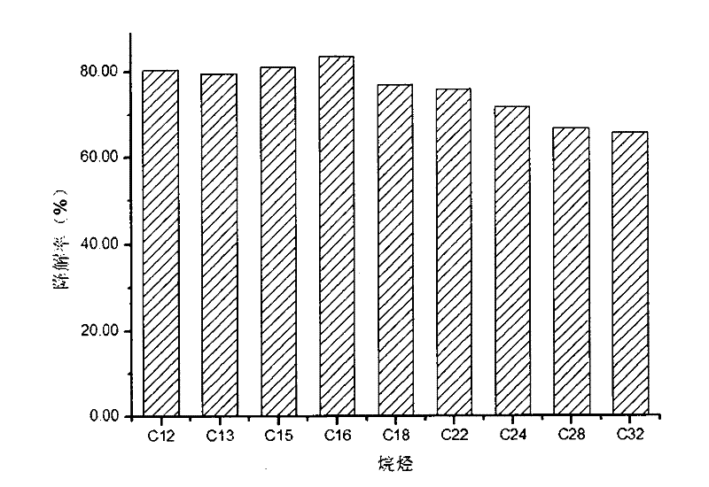 Salt-tolerant Rhodococcus sp. JH for generating biological emulsifier and degrading alkane and application thereof in bioremediation of petroleum polluted saline-alkali soil