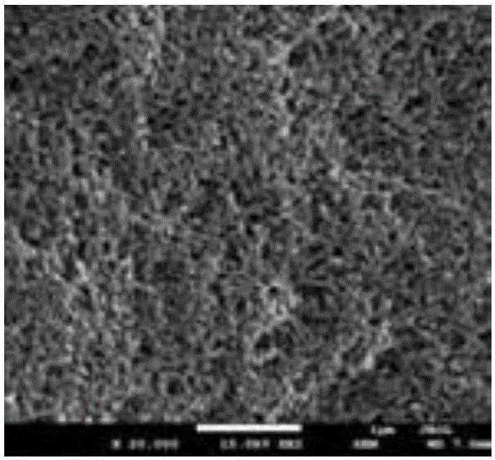 Ambient preparation and control method of low-density SiO2 aerogel