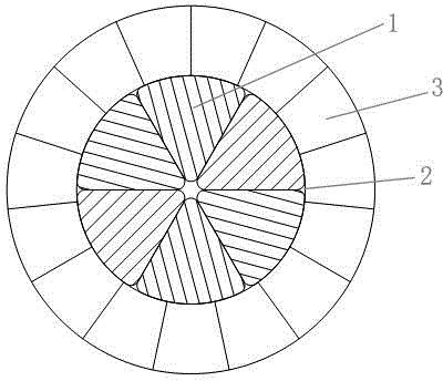 Ultra-large-section fanlike split conductor