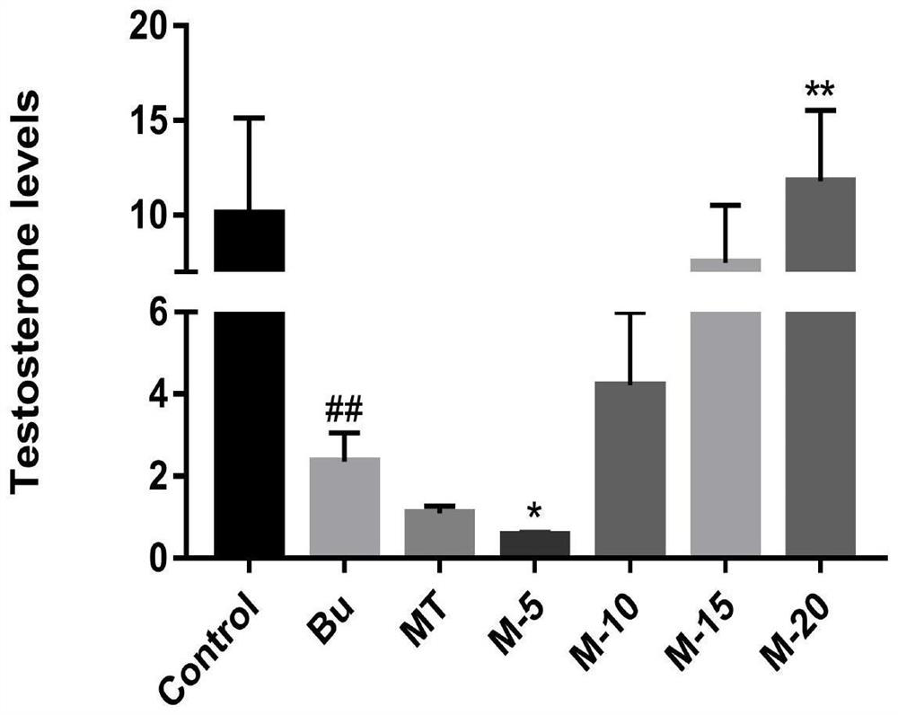 Application of maca extract and maca polysaccharide in preparation of product for treating spermatogenesis dysfunction diseases