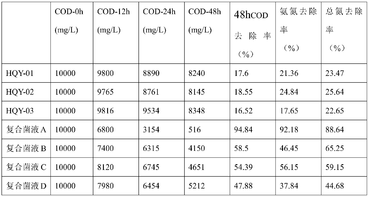 A kind of food waste degrading compound bacteria and its application