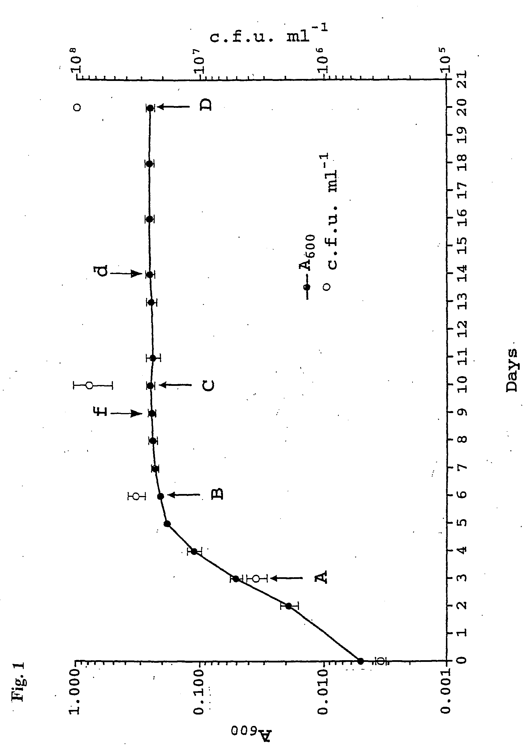 Dormancy induced mycobacterium proteins