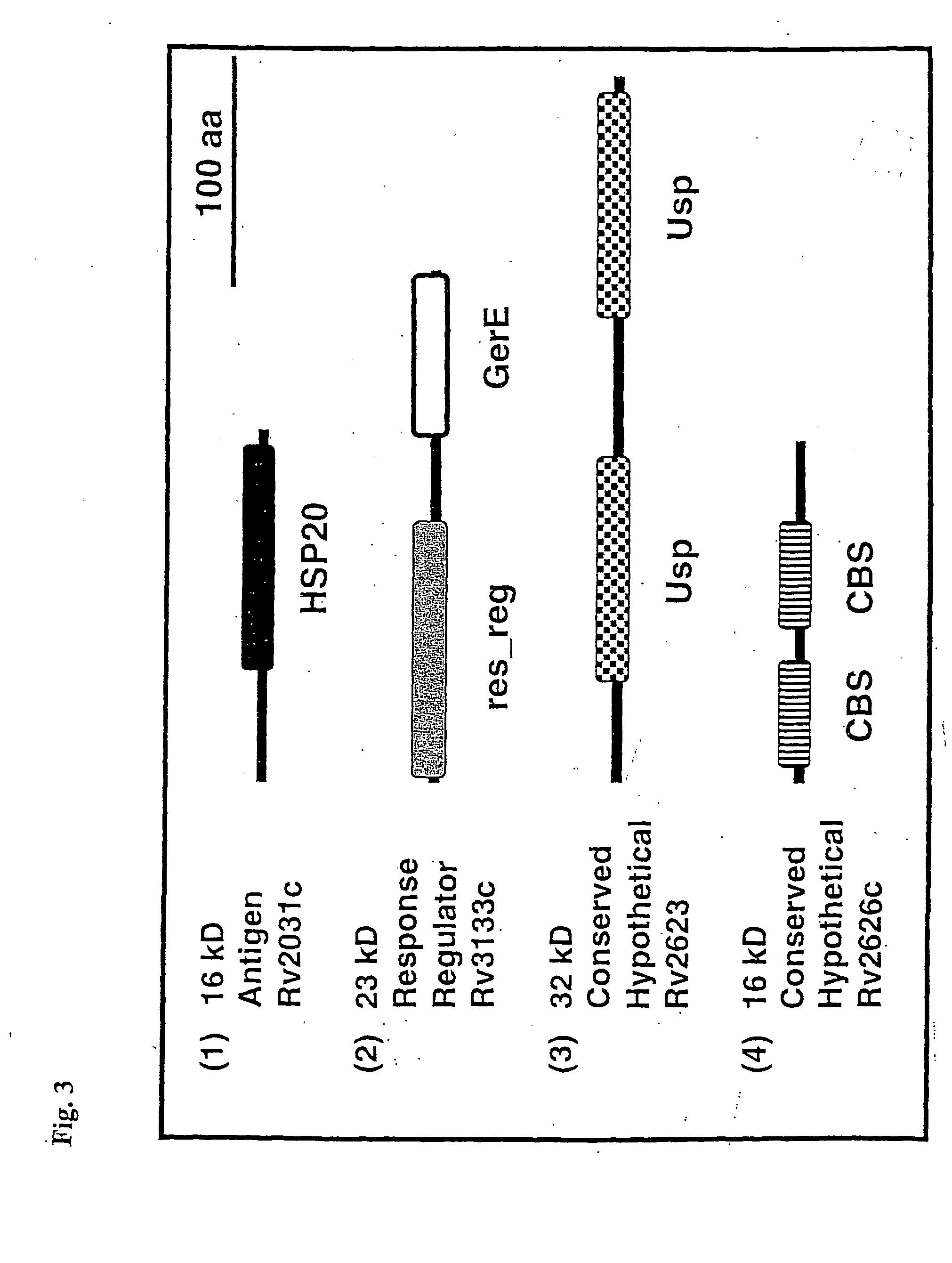 Dormancy induced mycobacterium proteins