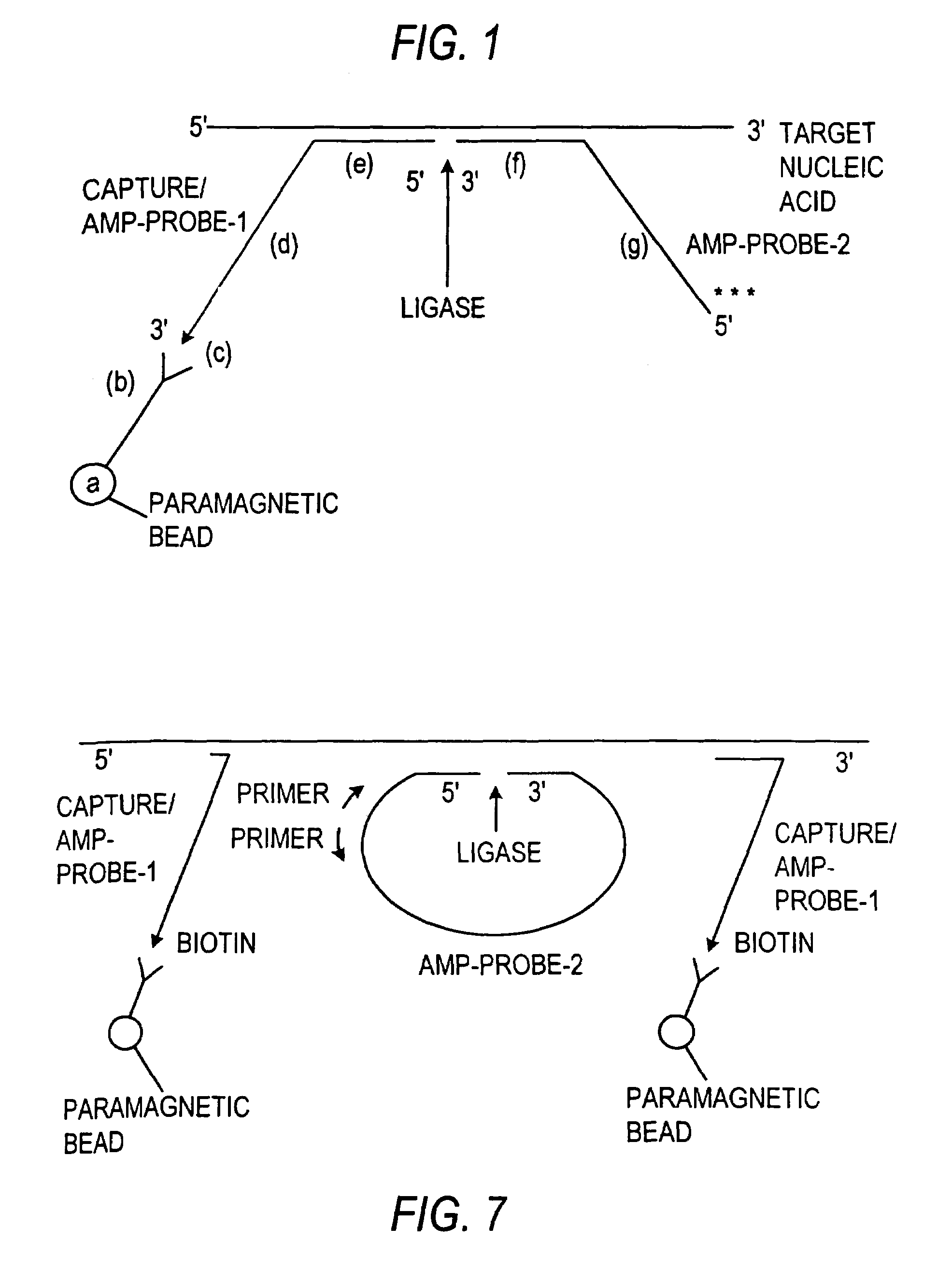 Nucleic acid amplification methods