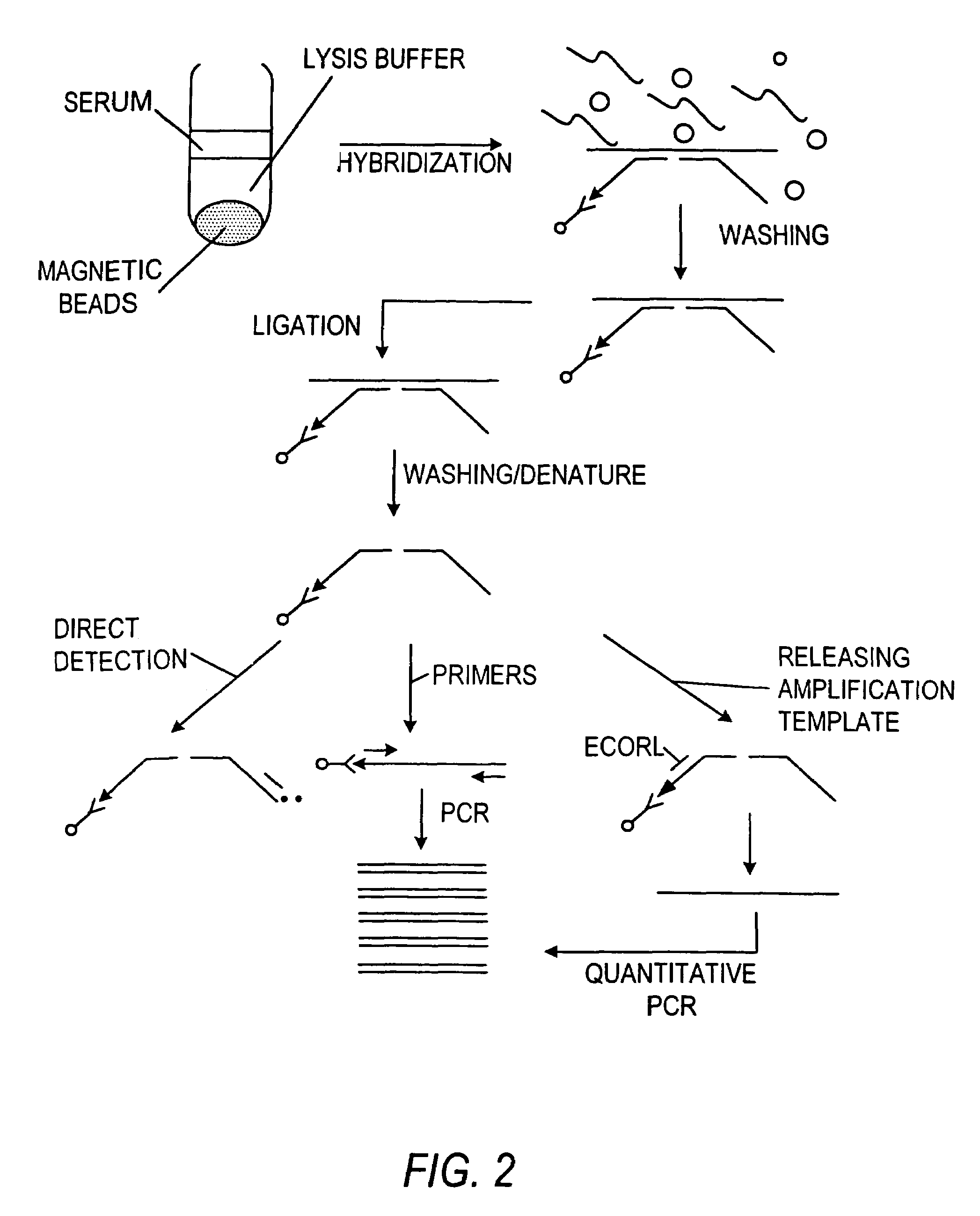 Nucleic acid amplification methods