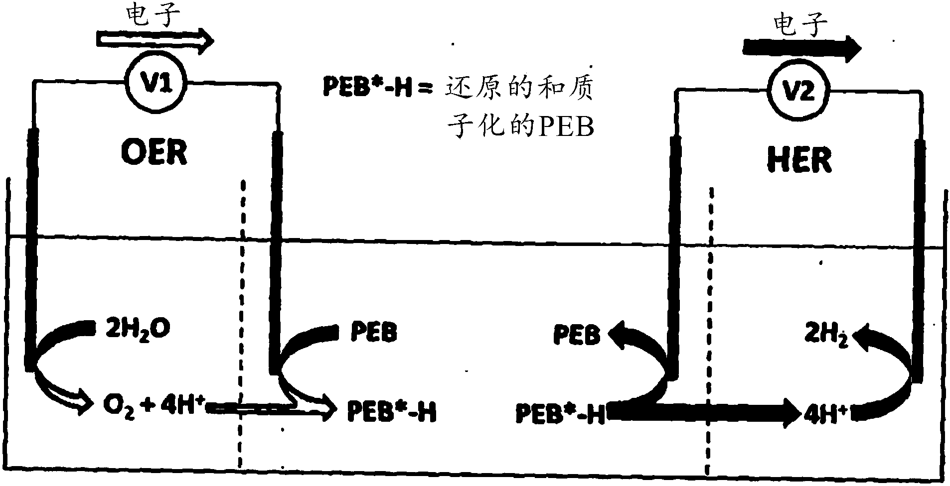 Apparatus and methods for electrochemical generation of oxygen and/or hydrogen