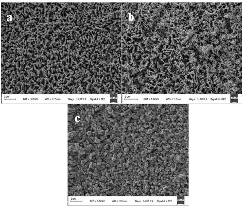 Preparation method of CoPi/Ag/bismuth vanadate composite photoelectric anode material