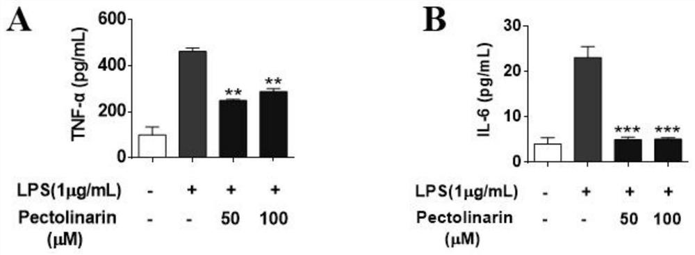 Application of pectolinarin in preparation of neuroinflammation inhibitors