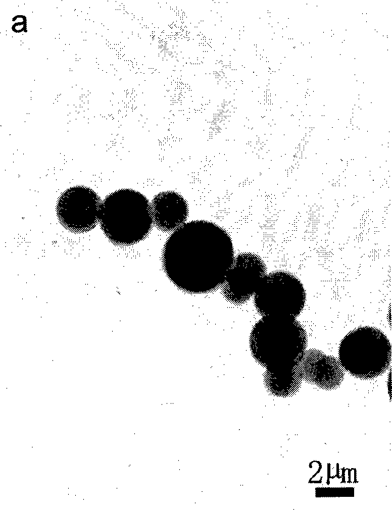 Method for preparing zinc blende nano particle and zinc blende nano particle prepared thereby