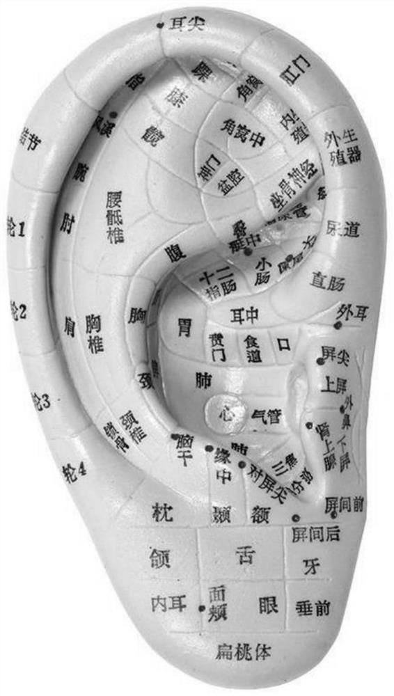 Digital physical examination system for valued acupuncture points