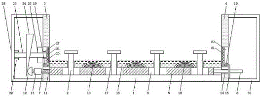 Cutter harvesting structure for vegetable harvesting machine