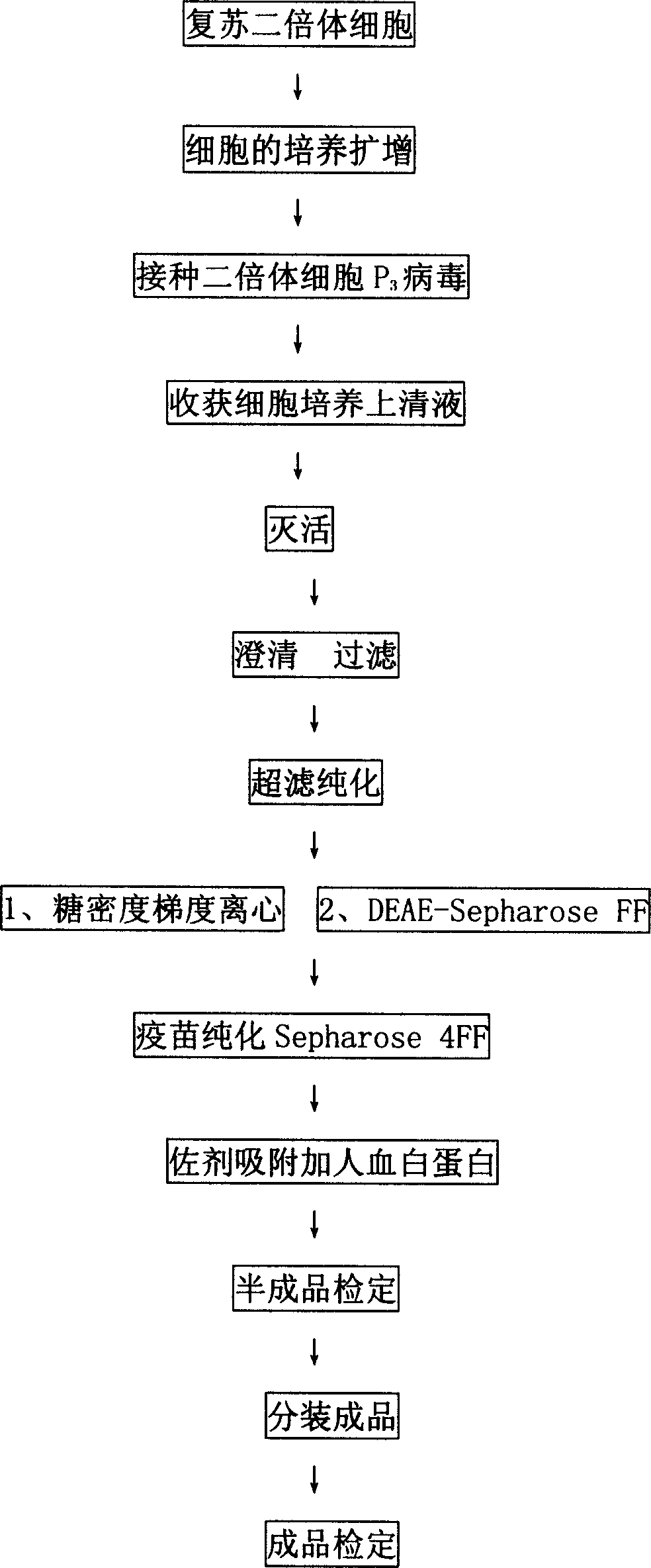 Diploid cell cerebritis B vaccine and purified cerebritis B vaccine, dosage form freeze-drying and water injection