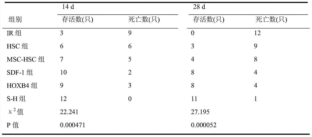 Pharmaceutical composition and application thereof in preparation of drug for treating bone marrow hematopoietic function disorder