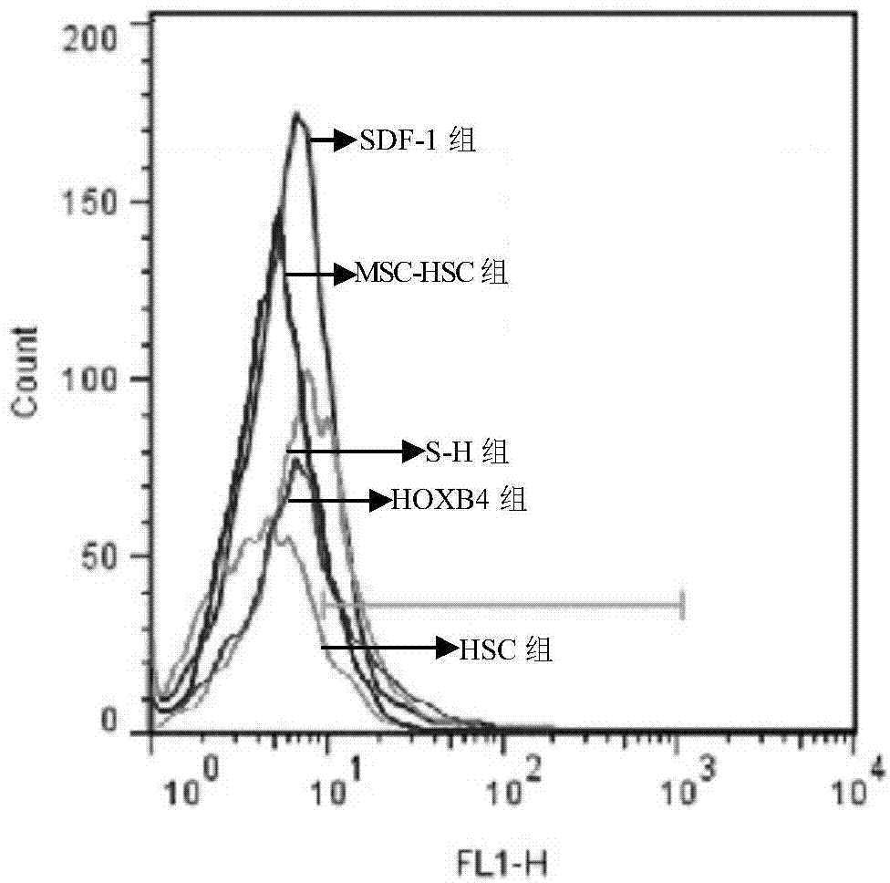 Pharmaceutical composition and application thereof in preparation of drug for treating bone marrow hematopoietic function disorder