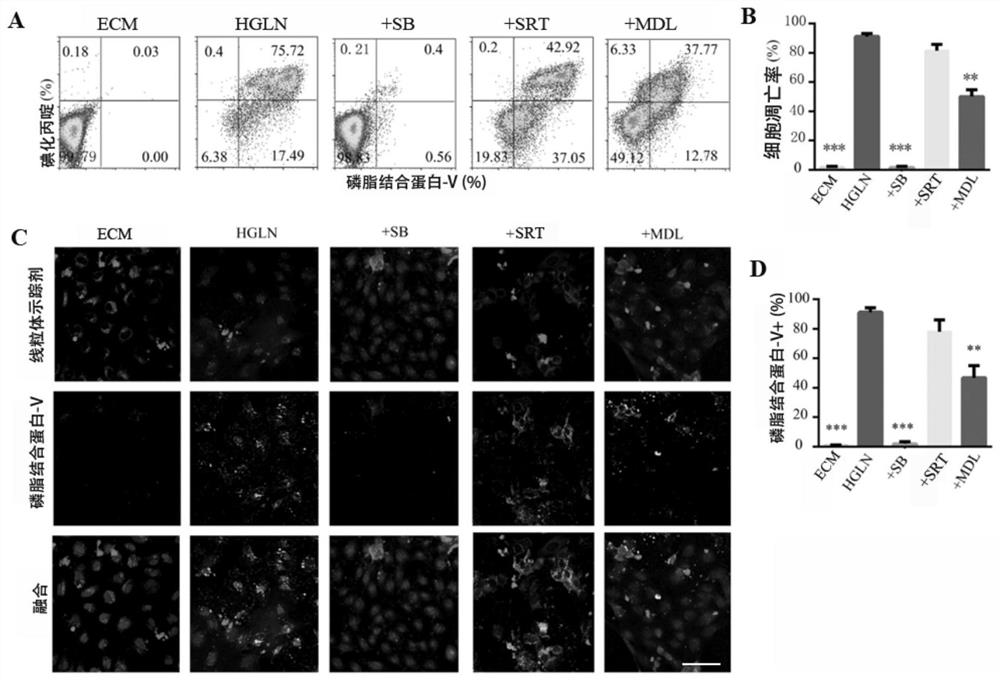 Application of TGF-beta inhibitor in preparation of medicine for treating diabetic foot