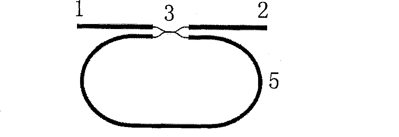 Non crosspoint space type integrated optics multi-ring ring shaped resonant cavity