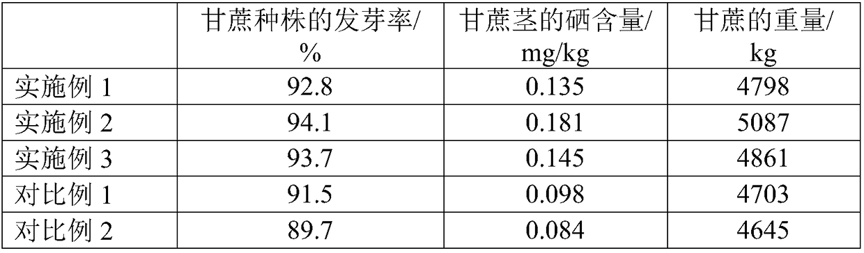 Tissue culture planting method of selenium-enriched sugarcane