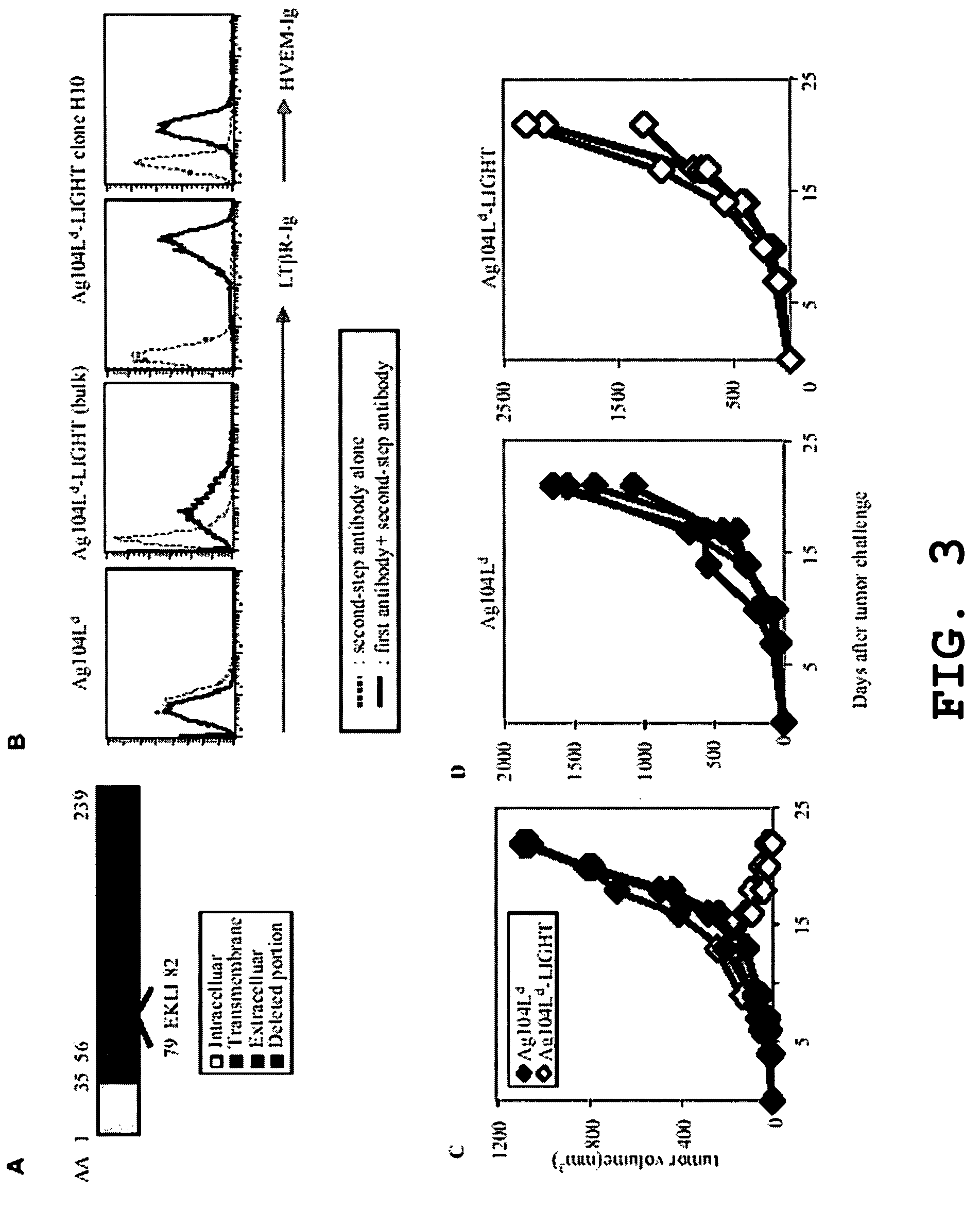 Increased T-cell tumor infiltration by mutant LIGHT