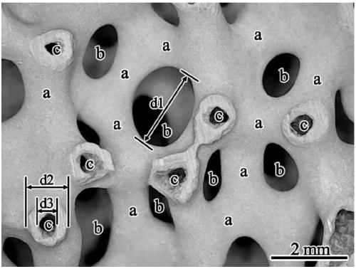 Acetylene hydrochlorination catalyst based on porous tube wall hollow foam material and preparation method and application of acetylene hydrochlorination catalyst