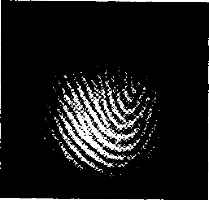 Surface plasma resonance based fingerprint image acquisition method