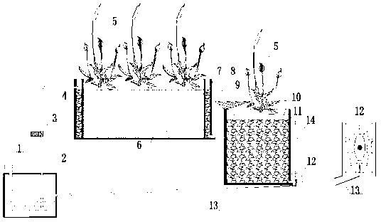 Combined constructed wetland treatment method and system for nitrobenzene wastewater