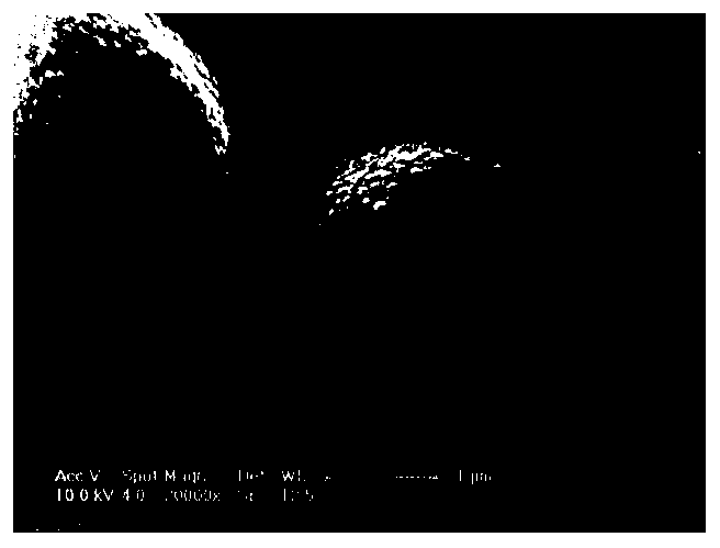 Preparation method of targeted thrombolytic microcapsules